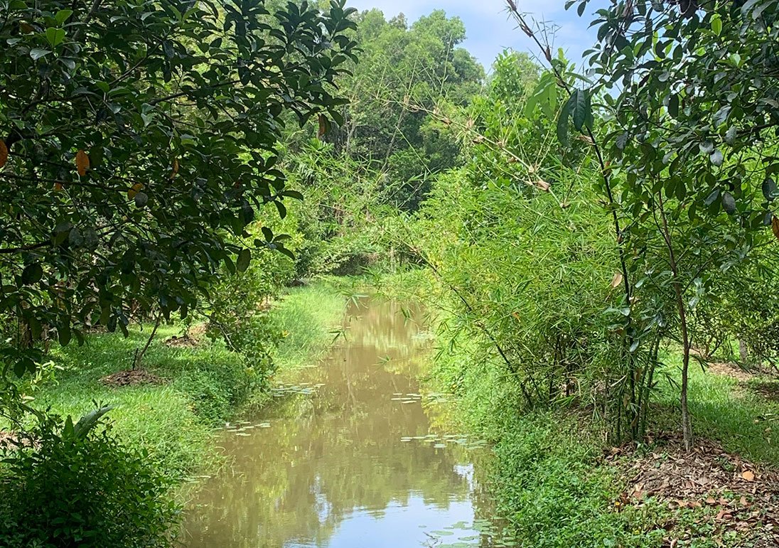 About Green Tsavorite