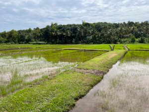 agri tourism