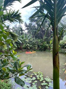 rain water harvesting