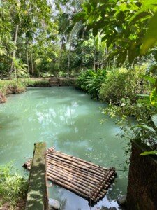 bamboo raft at natural pond