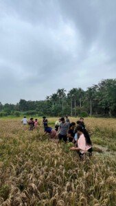 farm activity at green tsavorite