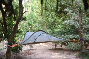 tree tent